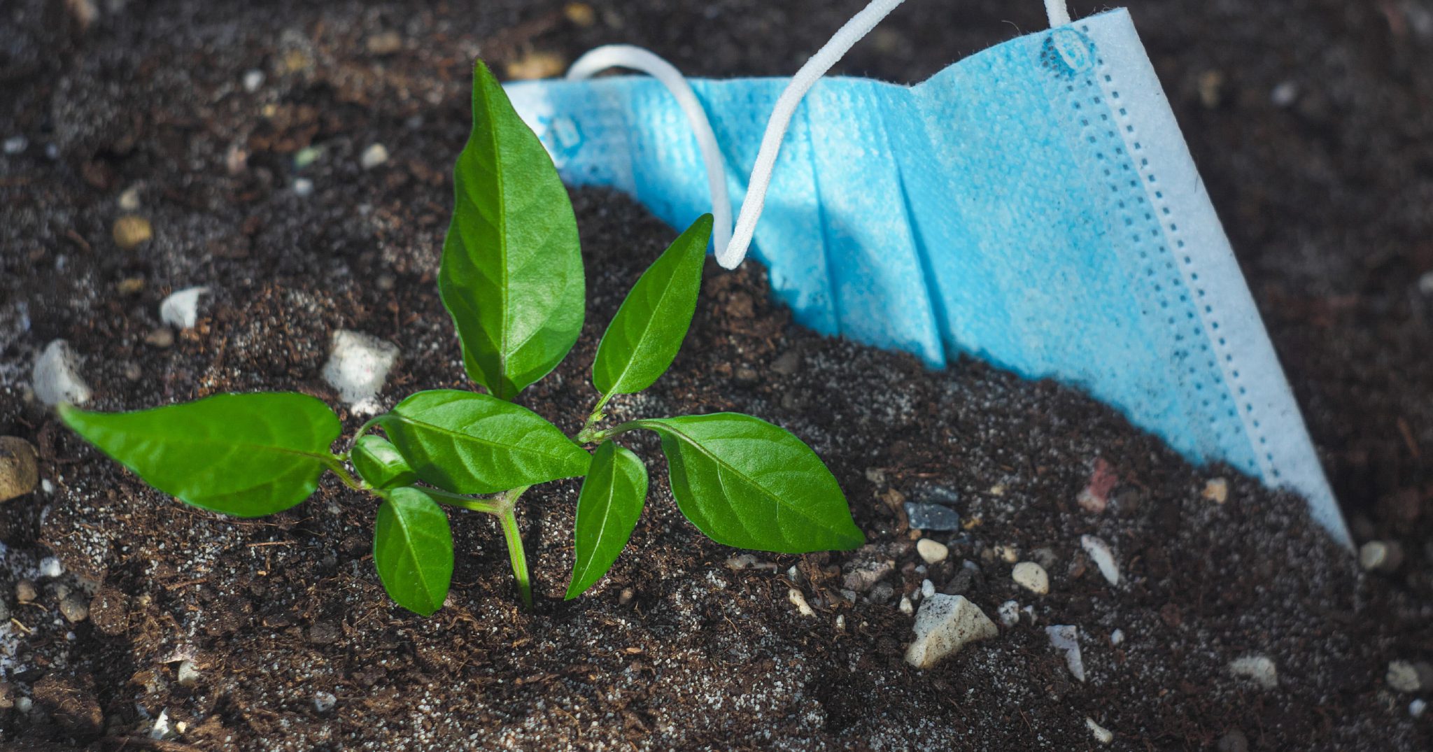 Your health  Climate change  Connecting the dots