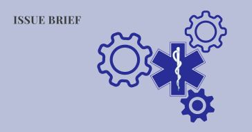 issue brief by abhishek