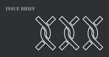 issue brief by six members