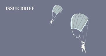issue brief by group