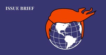 issue brief by Tehniyat