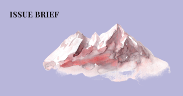 issue brief by vidhula
