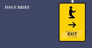 issue brief by saee