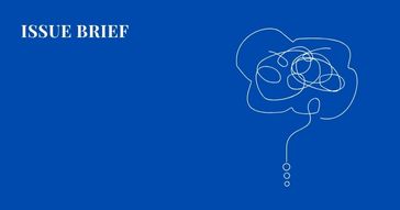 issue brief by a group