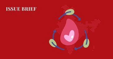 issue brief by sehzana