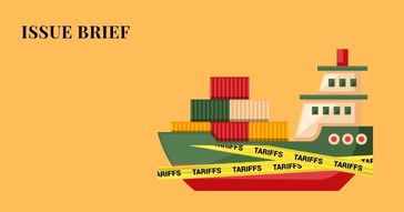 Avinash  Issue Brief May