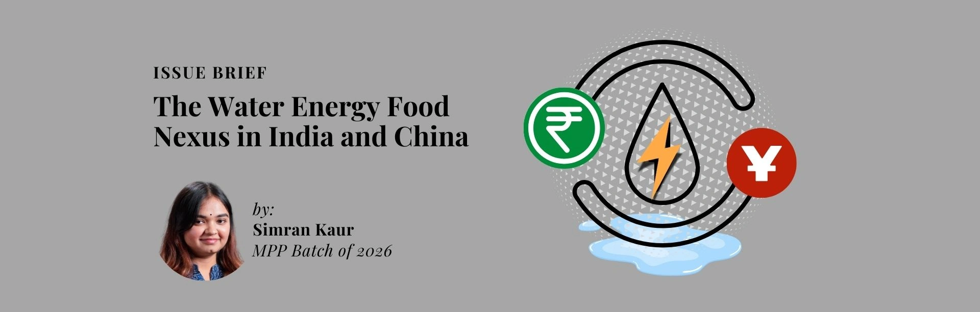 The Water Energy Food Nexus in India and China The Water Energy Food Nexus in India and China