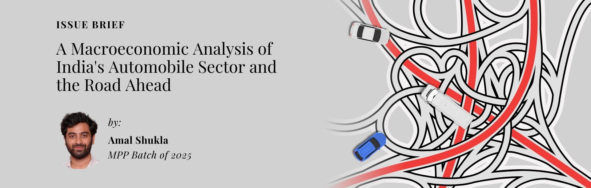 issue brief by Amal shukla